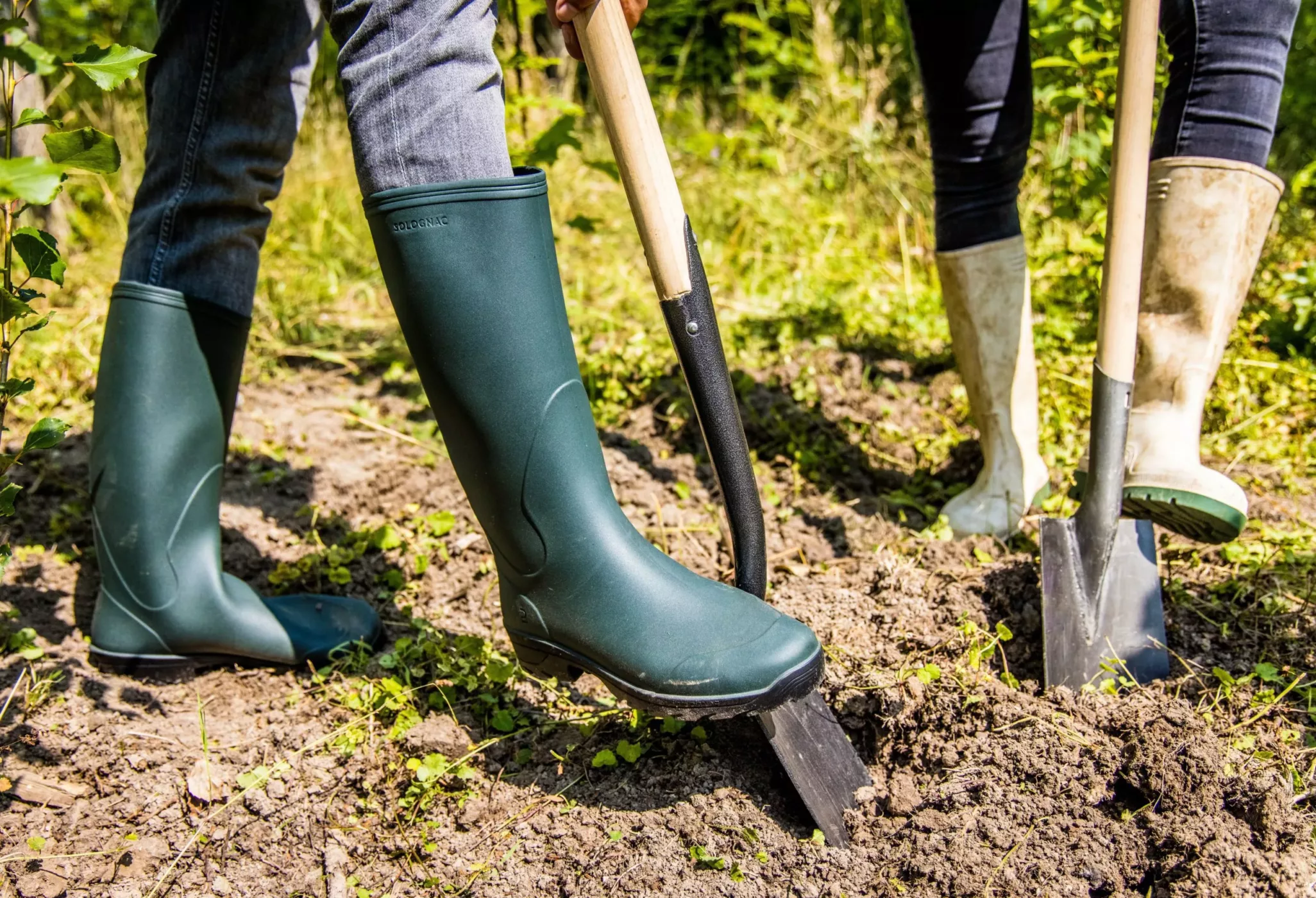 boom-planten-schop