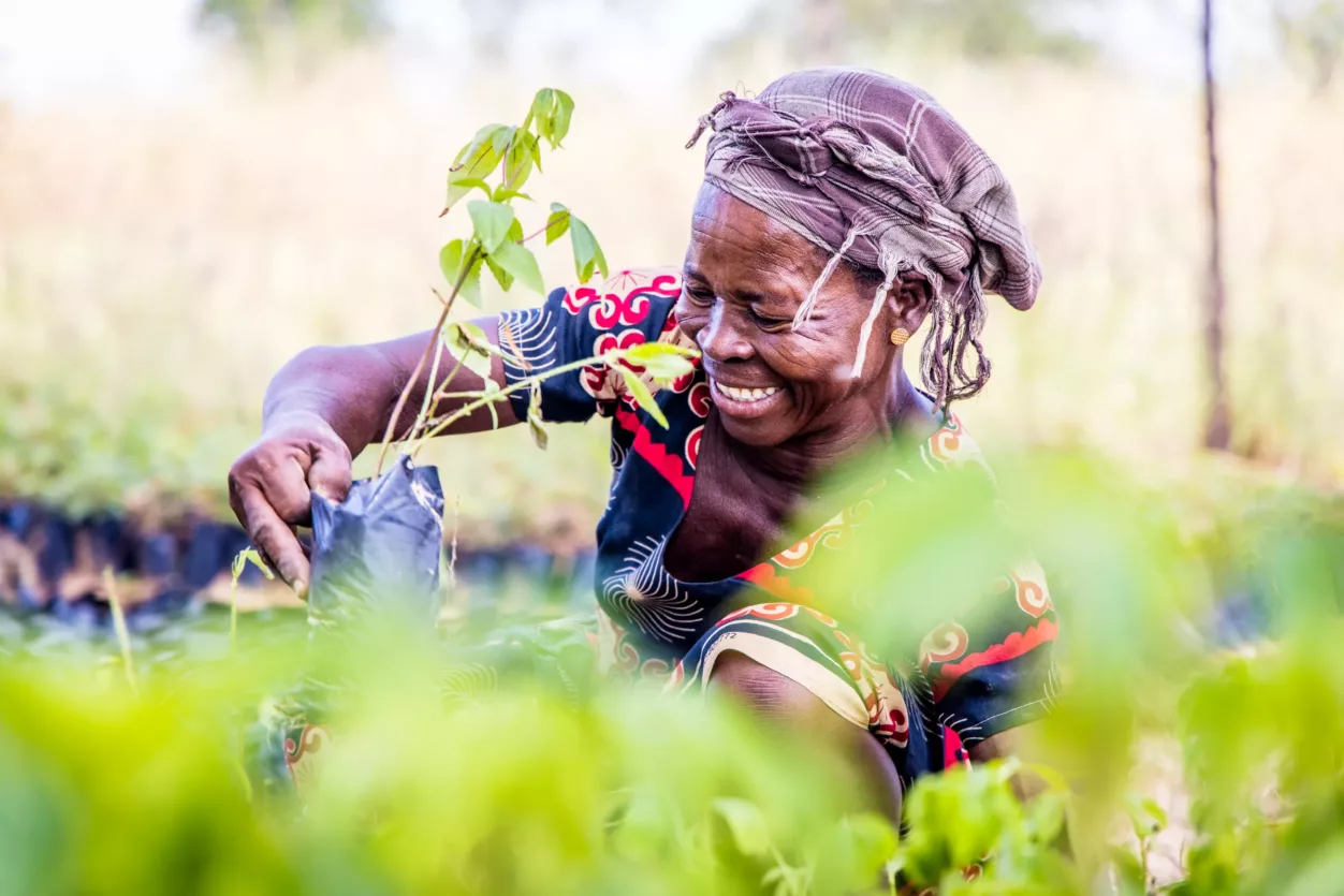 opmeer-ghana-bomen-planten