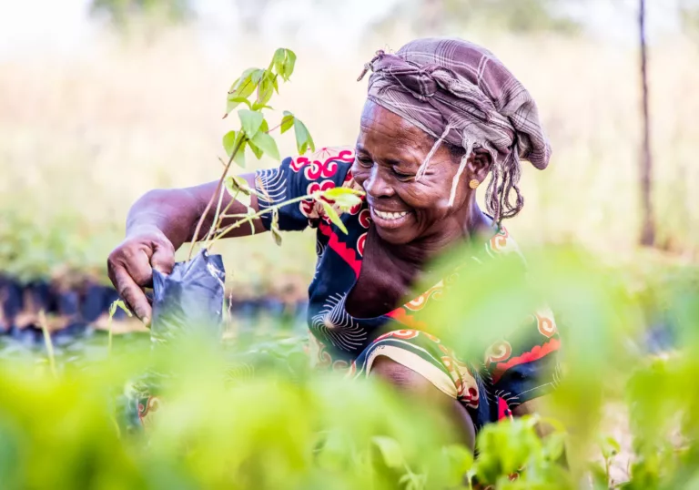 Hoe gaat het met ons project in Ghana?