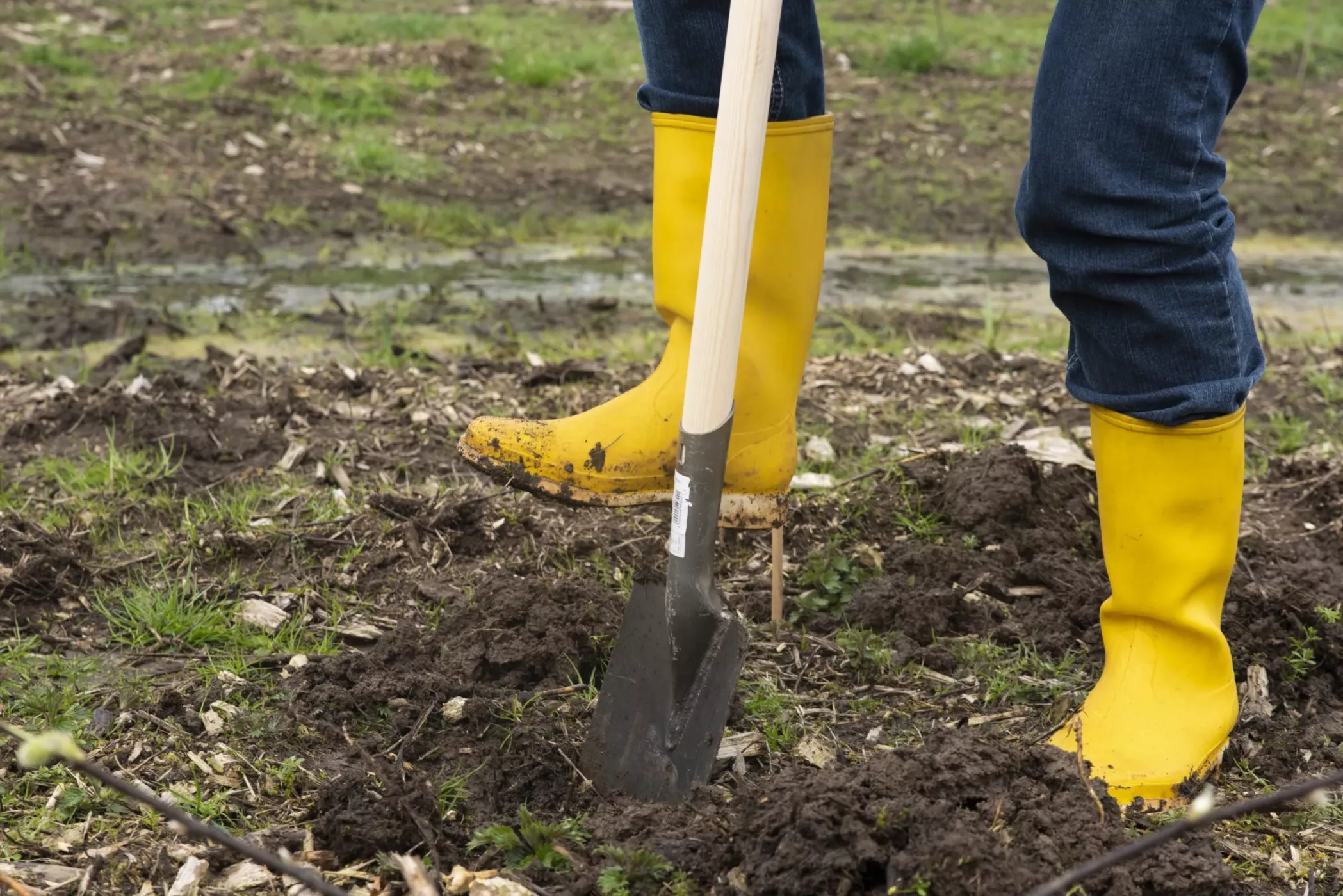 boomplantdag-asn-bank_2-2