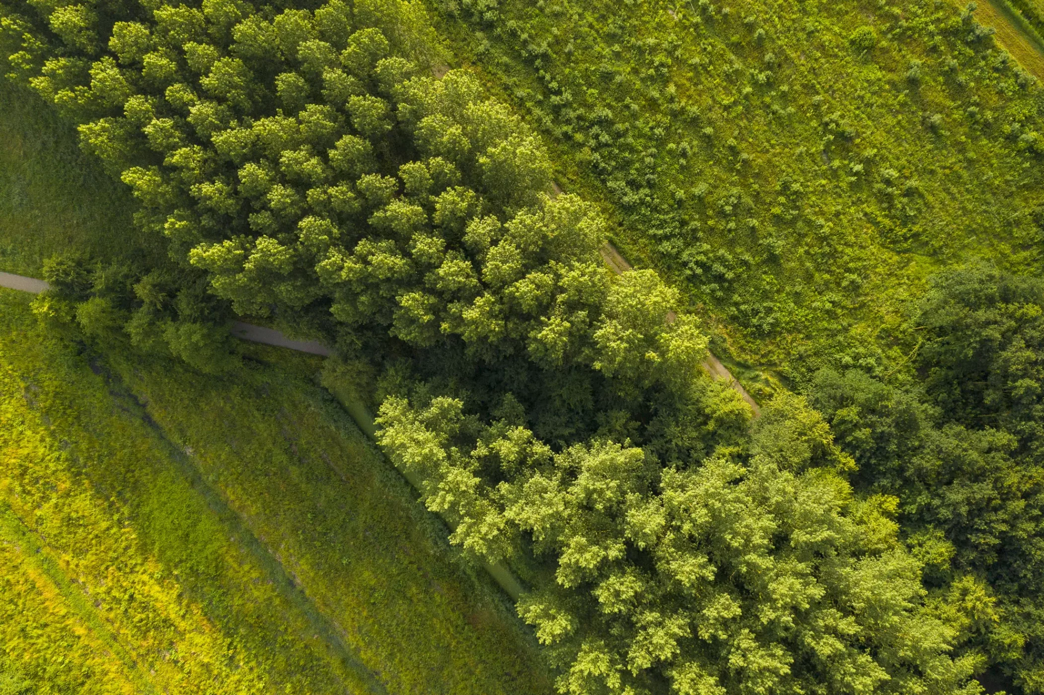 Waalse-bos-luchtfoto-2
