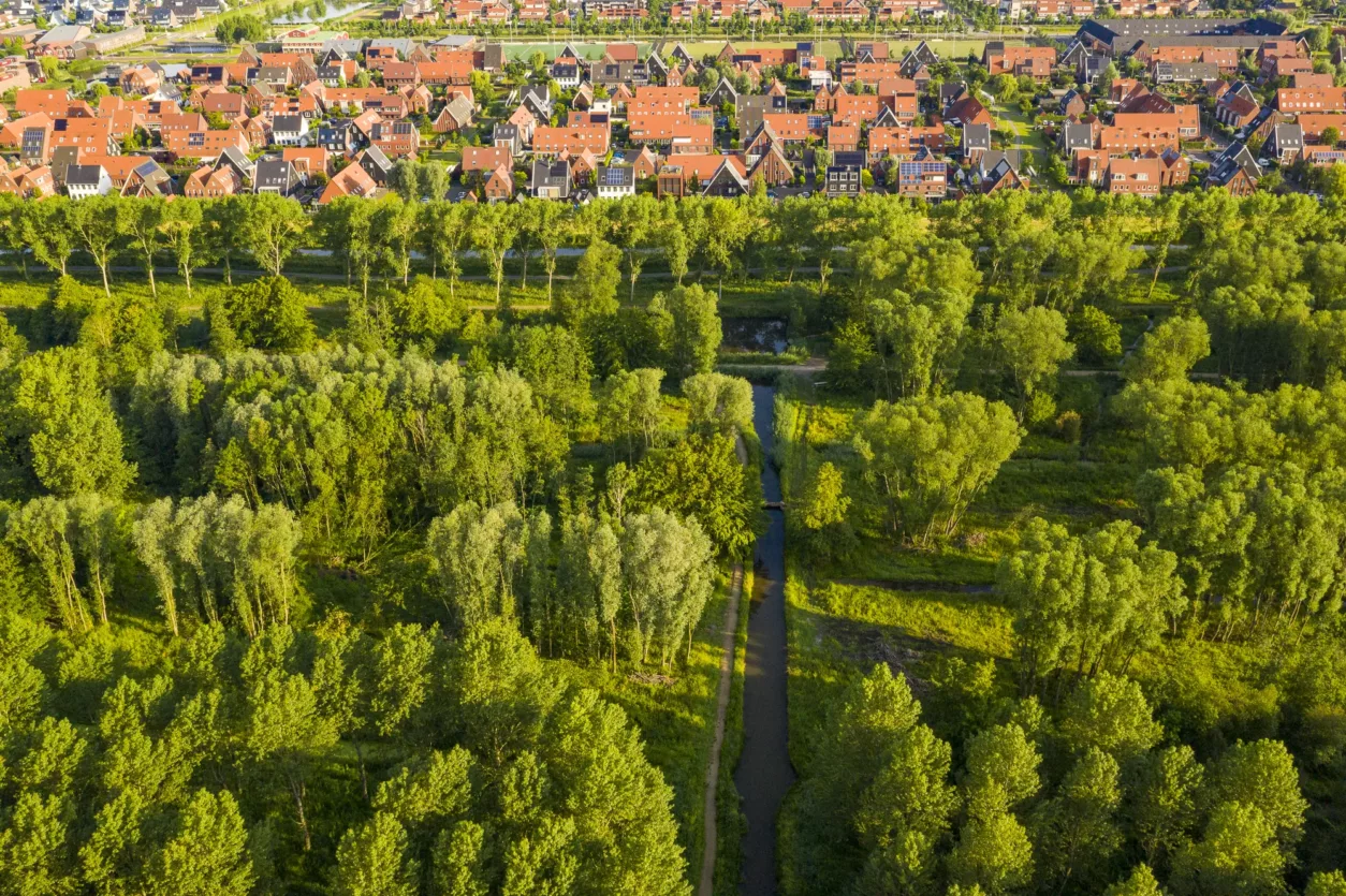 Bieslandse-bos-luchtfoto