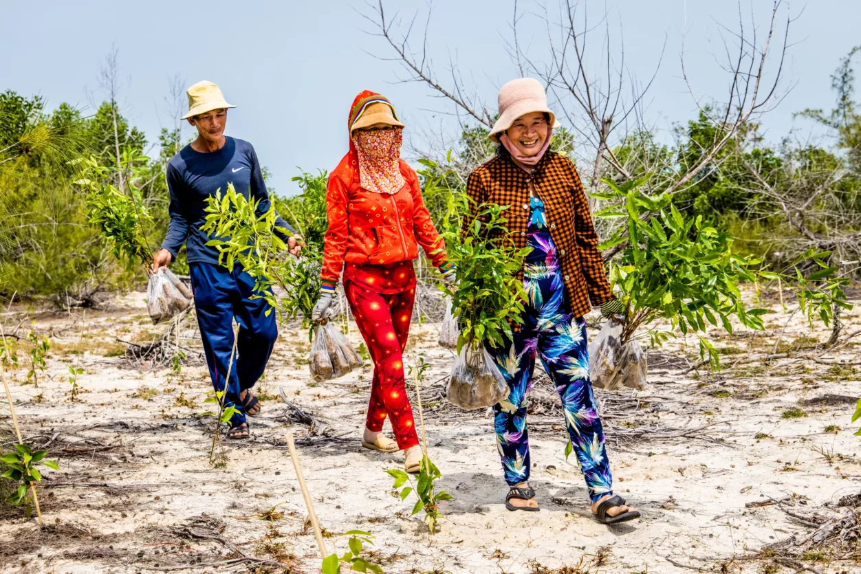 vietnam-bomen-planten