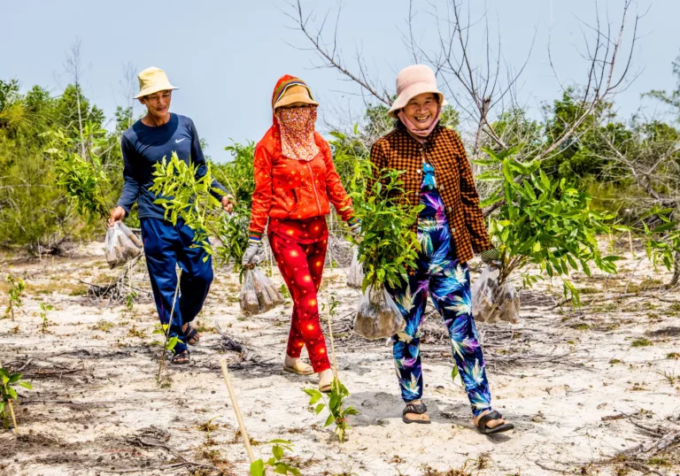 Projectupdate: hoe gaat het met de bomen in Vietnam?