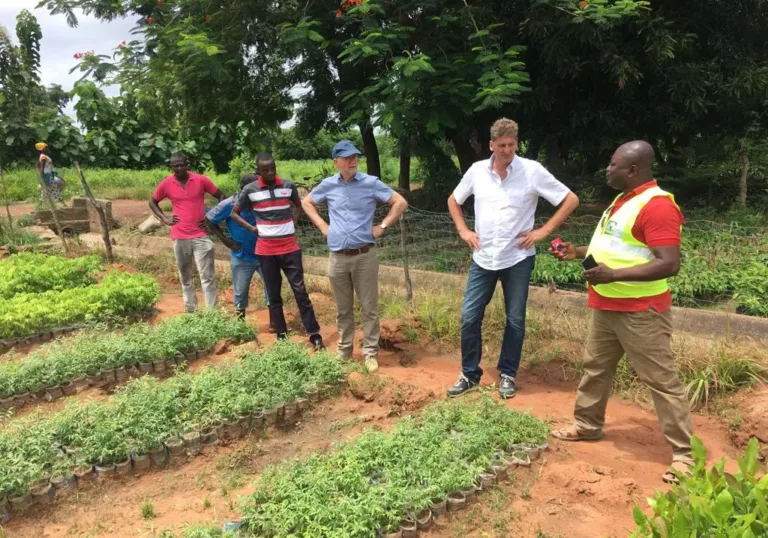 Hoe de Blue Deal en herbebossing elkaar versterken in Ghana