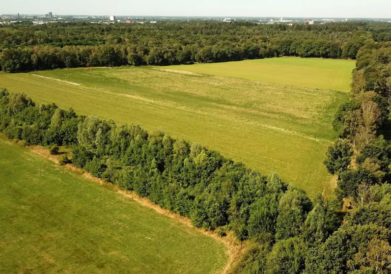 Aanplant eerste bomen in nieuw bos in Limburg