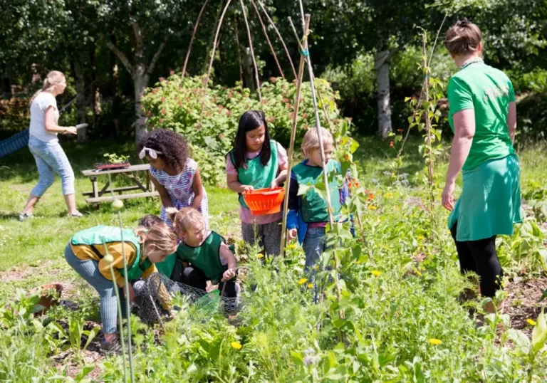 Een speciaal geboortebos voor de gemeente Amsterdam