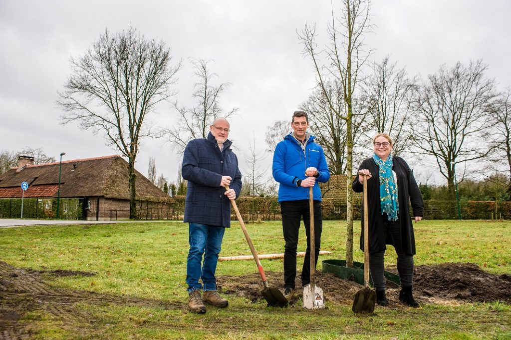 project-bos-en-boom