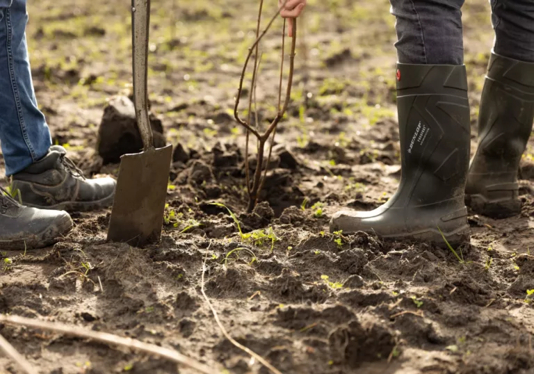 Nieuw bedrijfsbos Conclusion geplant