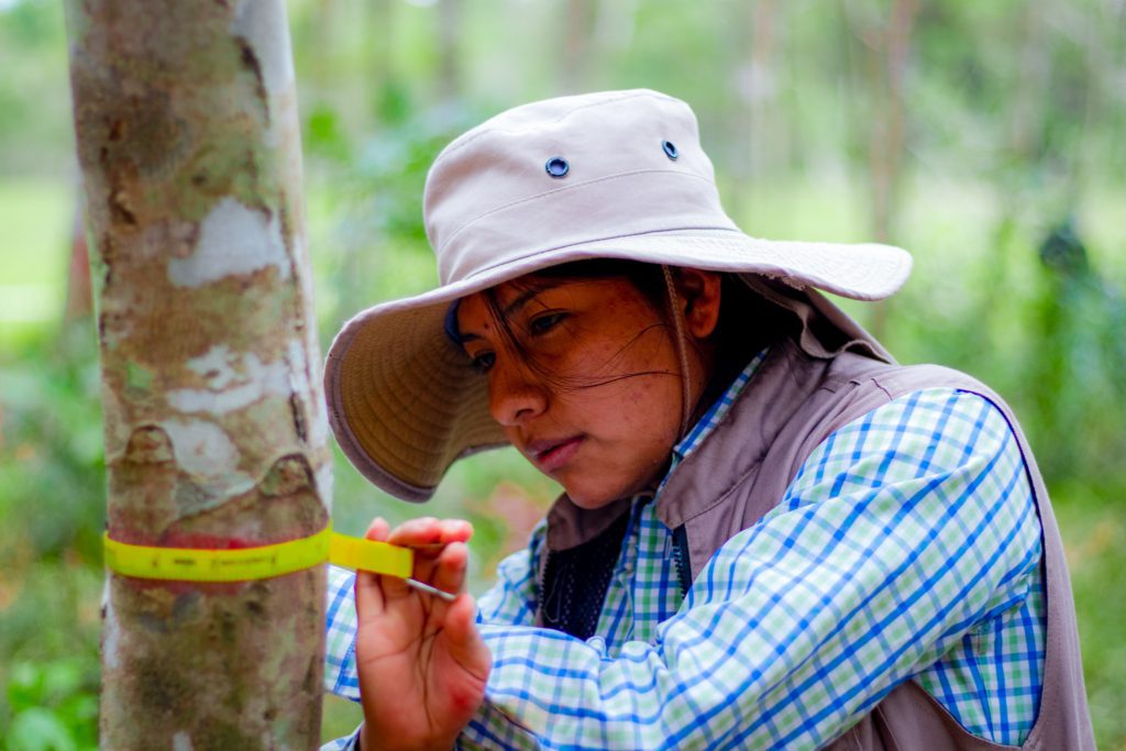 Monitoring Bolivia