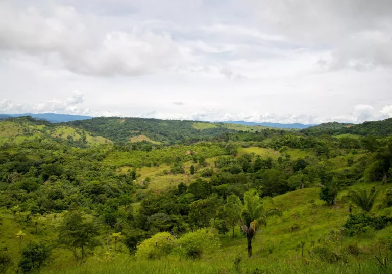 We bezochten ons CO2-project in Bolivia
