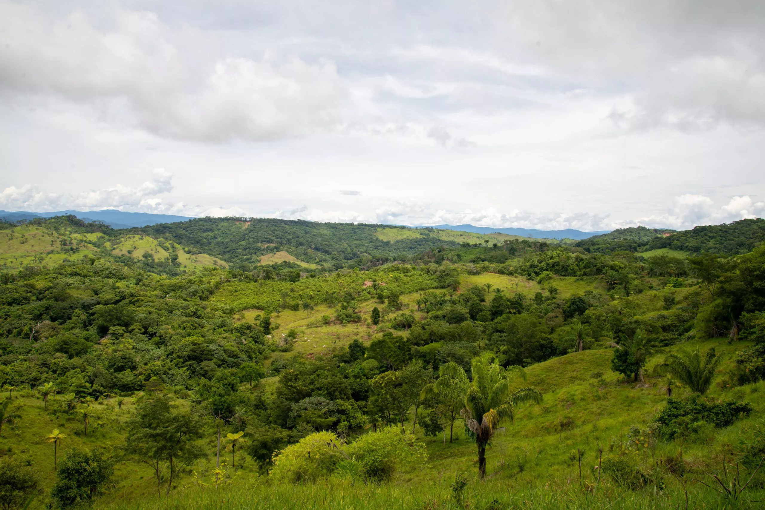 We bezochten ons CO2-project in Bolivia