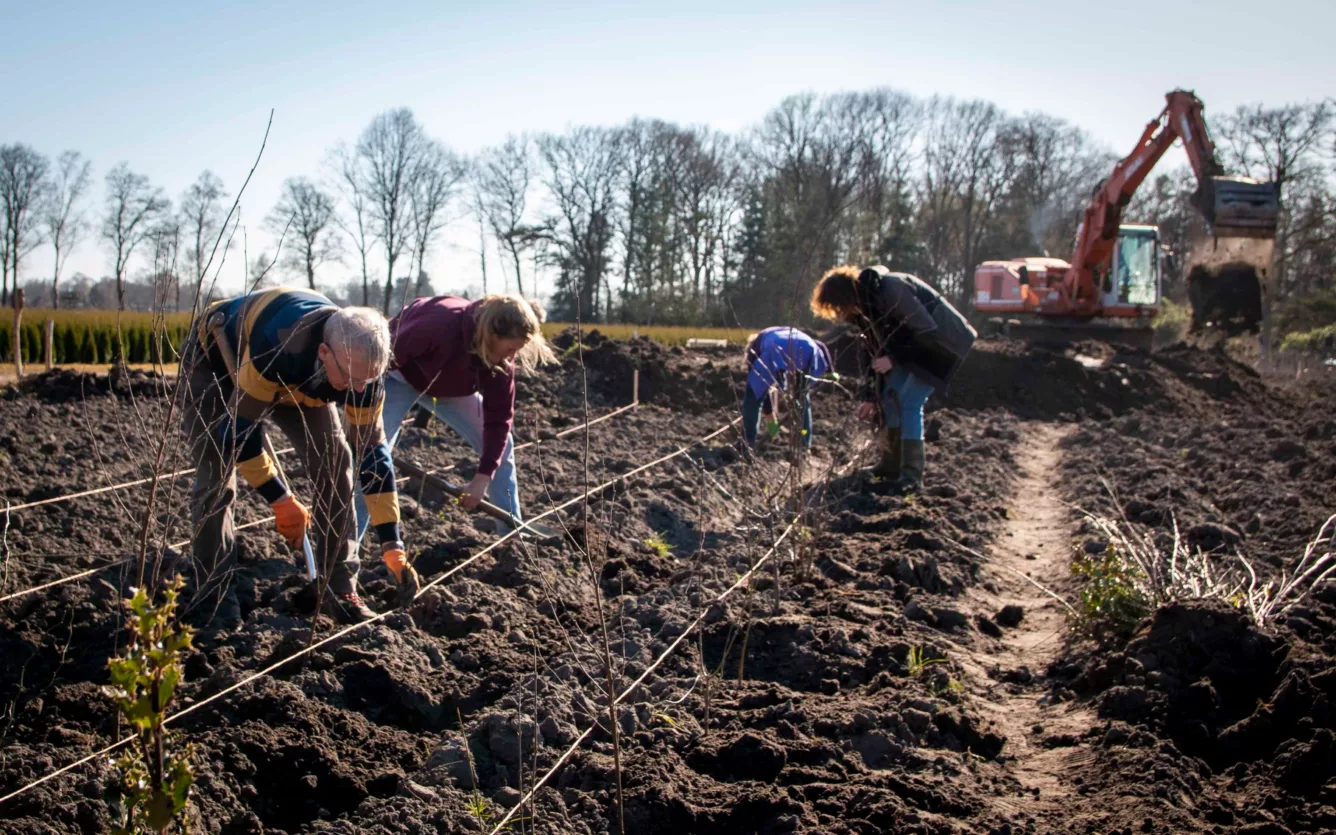 Planten in Voedselbos Lage Mierde