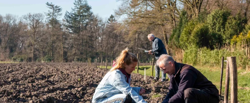 Voedselbos Lage Mierde | Een bos om op te eten