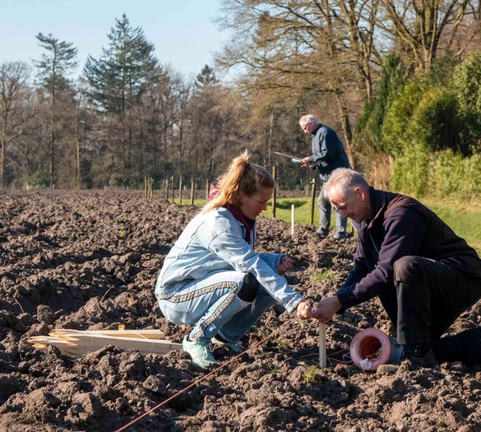 Voedselbos Lage Mierde | Een bos om op te eten