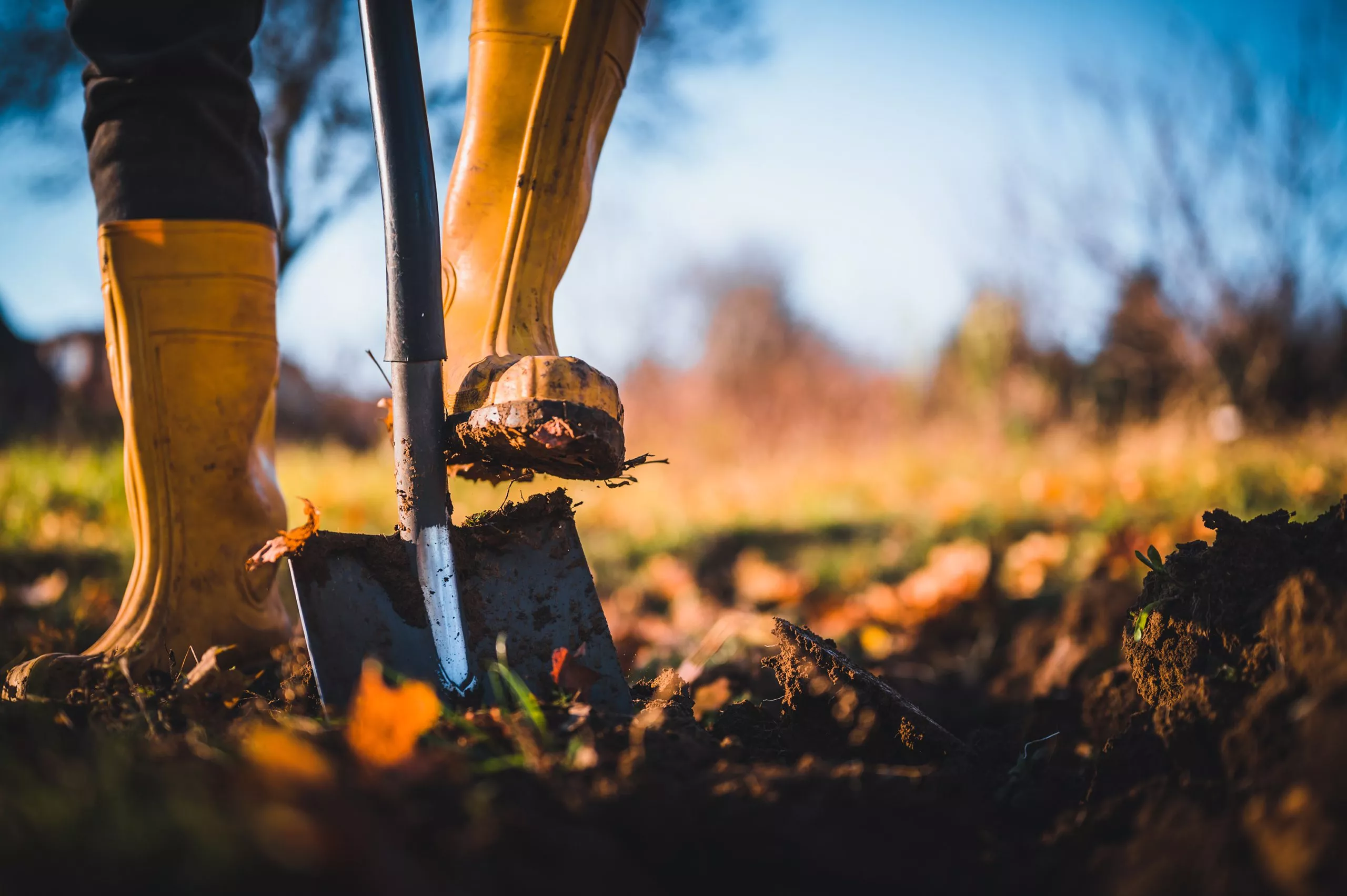 actie-starten-schep-bomen-planten