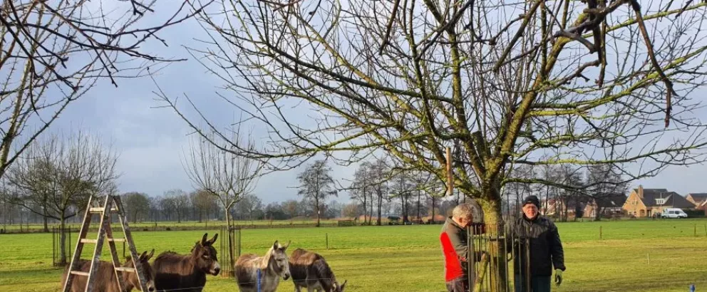 Natuurboerderij BalkInn | Een educatieve natuurboerderij