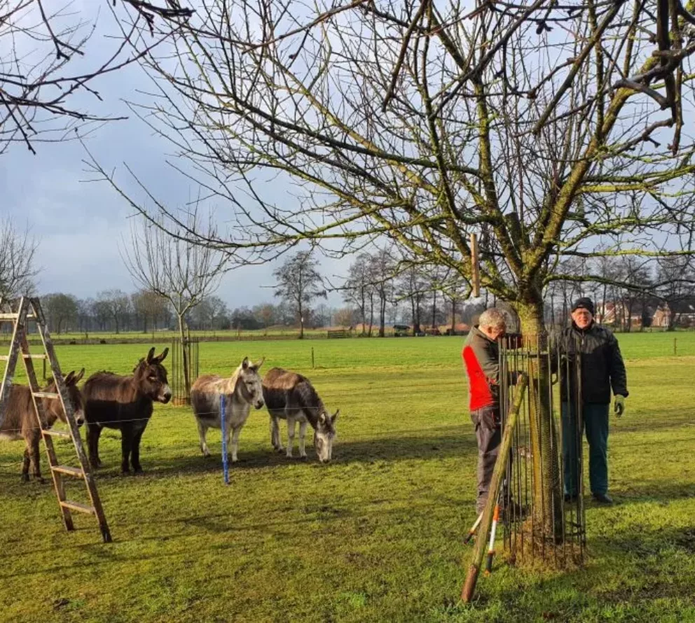 Natuurboerderij BalkInn | Een educatieve natuurboerderij