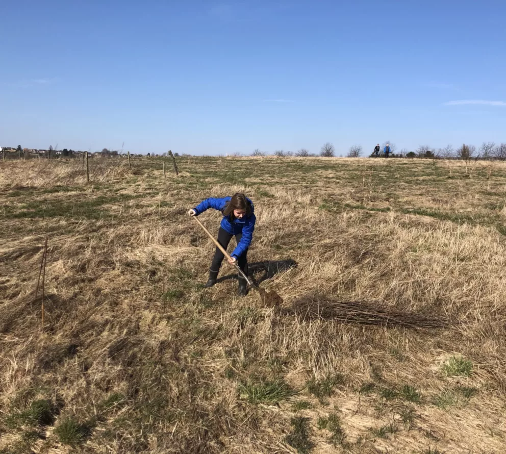 Voedselbos Lubosch Land | Van melkveehouderij tot voedselbos