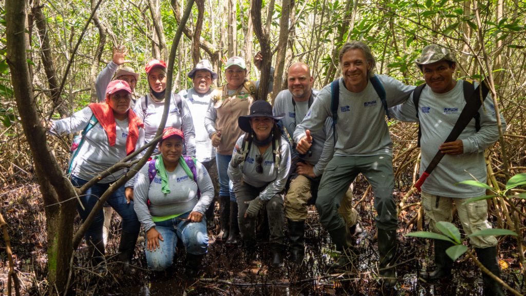 mexico-mangrove-sendas