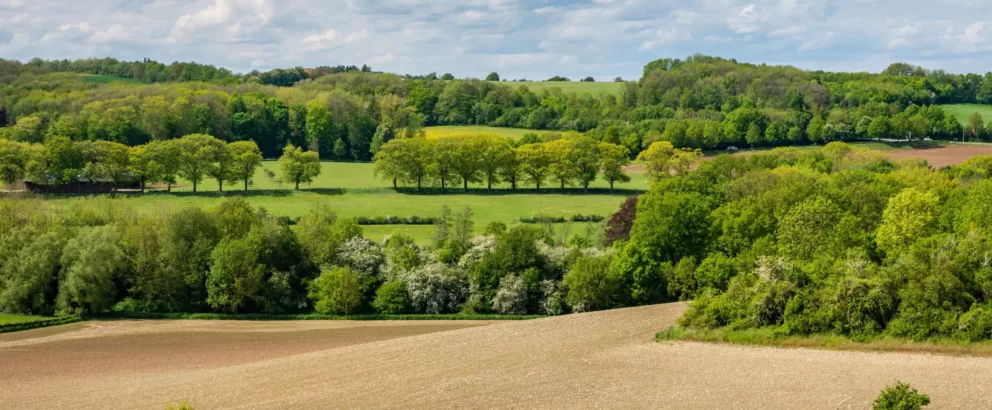 Greening the countryside | Planting trees and shrubs 