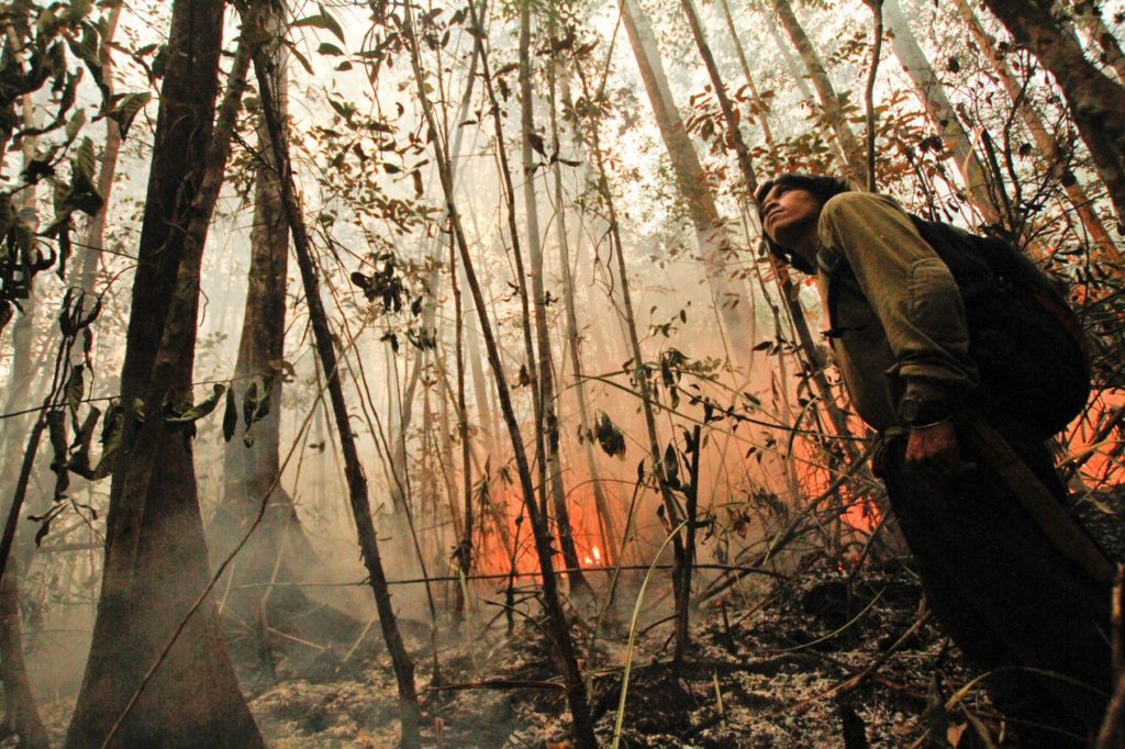 bosbrand-borneo