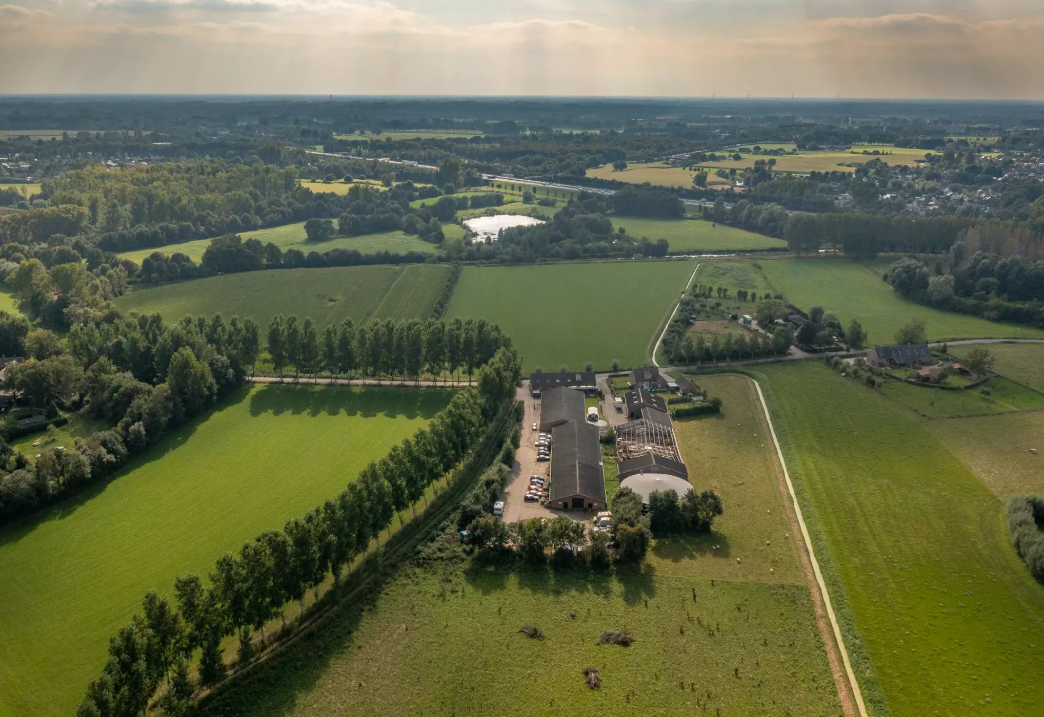 groene-woud