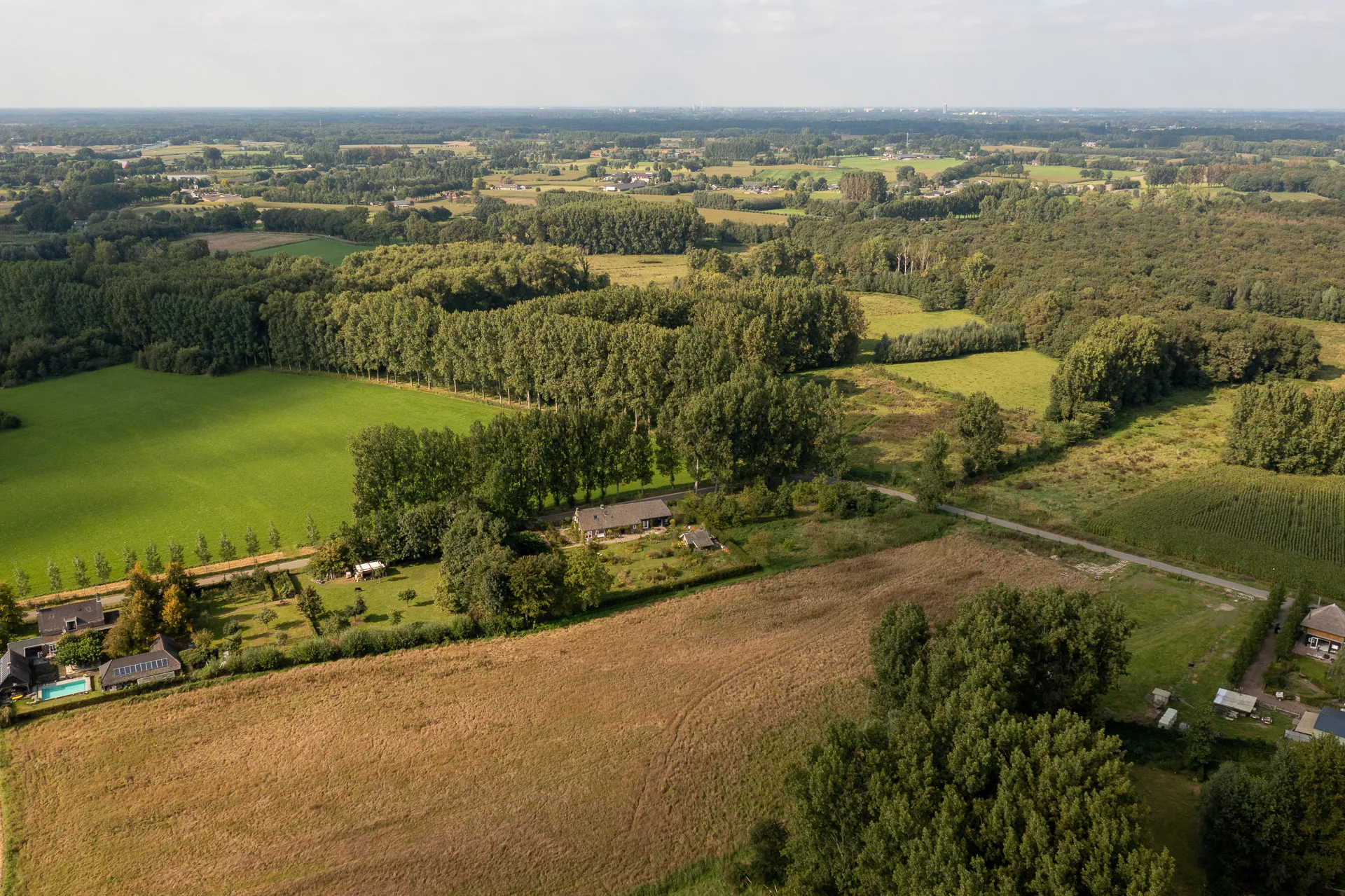 Groene Woud van boven