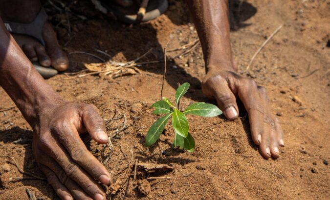 Hoe we natuur beschermen én armoede bestrijden op Madagaskar