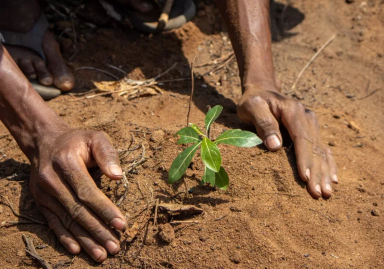 Hoe we natuur beschermen én armoede bestrijden op Madagaskar