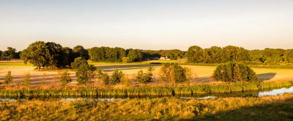 Landschapselementen Overijssel | Een groen en duurzaam platteland