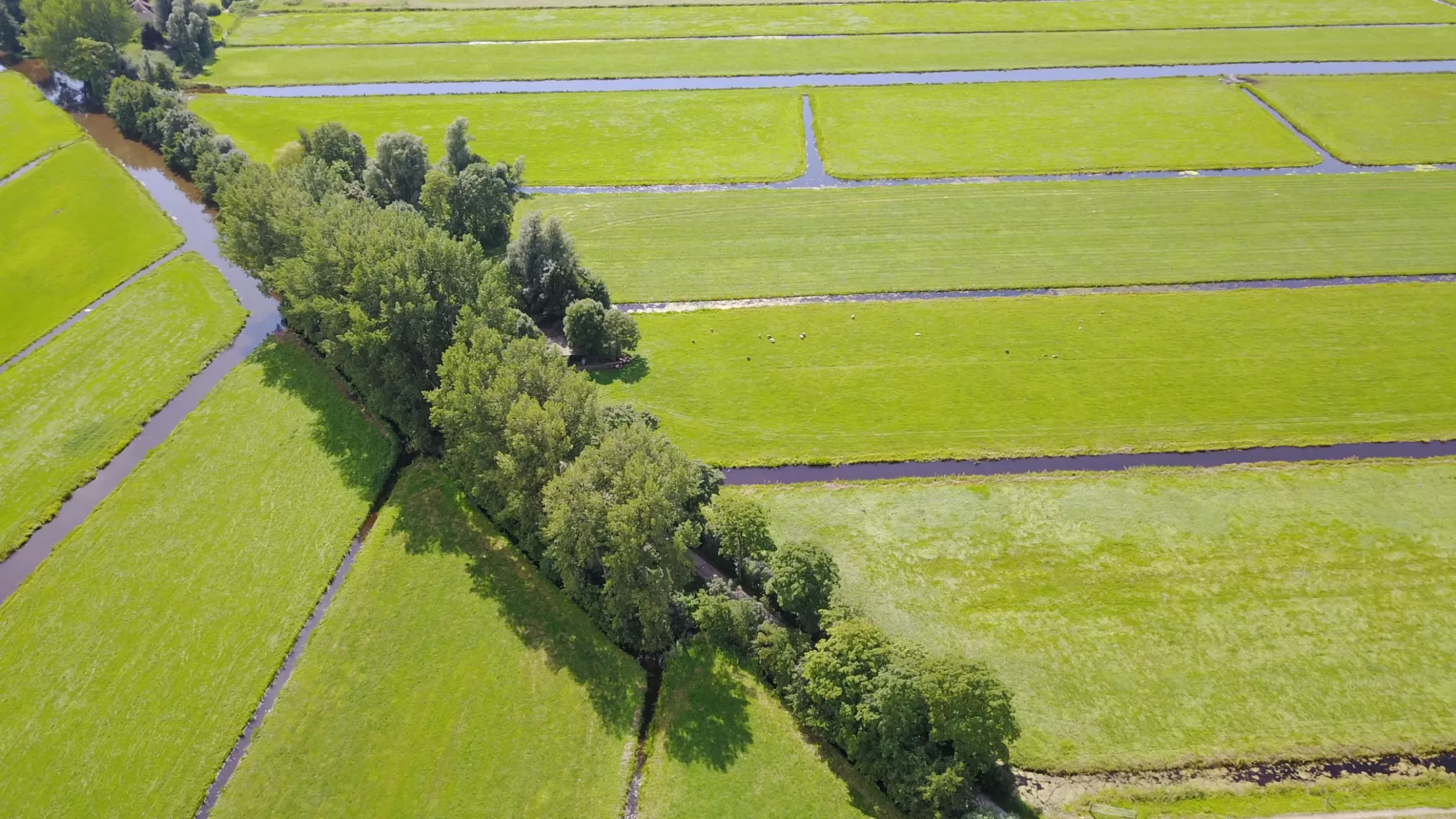 landschapselementen-utrecht