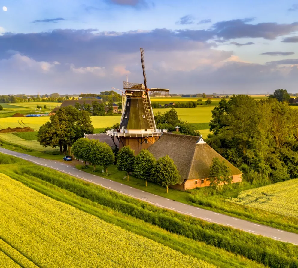 Landscape elements Groningen | Farmyard-greening in Groningen