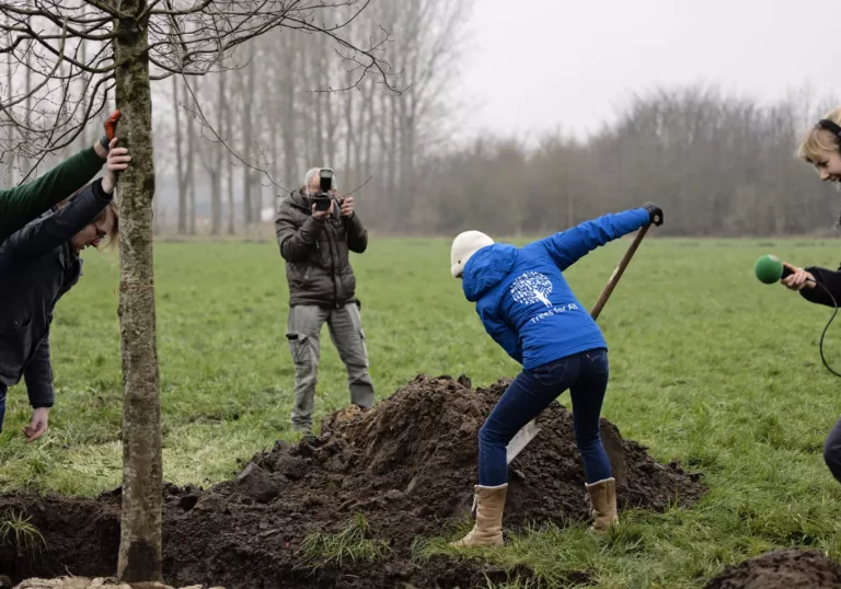 100.000ste boom geplant in Het Groene Woud