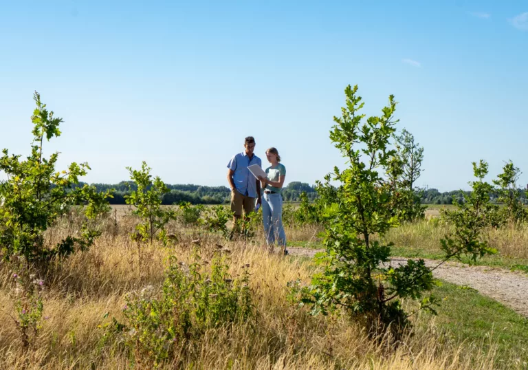 Van droogte tot wateroverlast: uitdagingen bij het planten van een bos