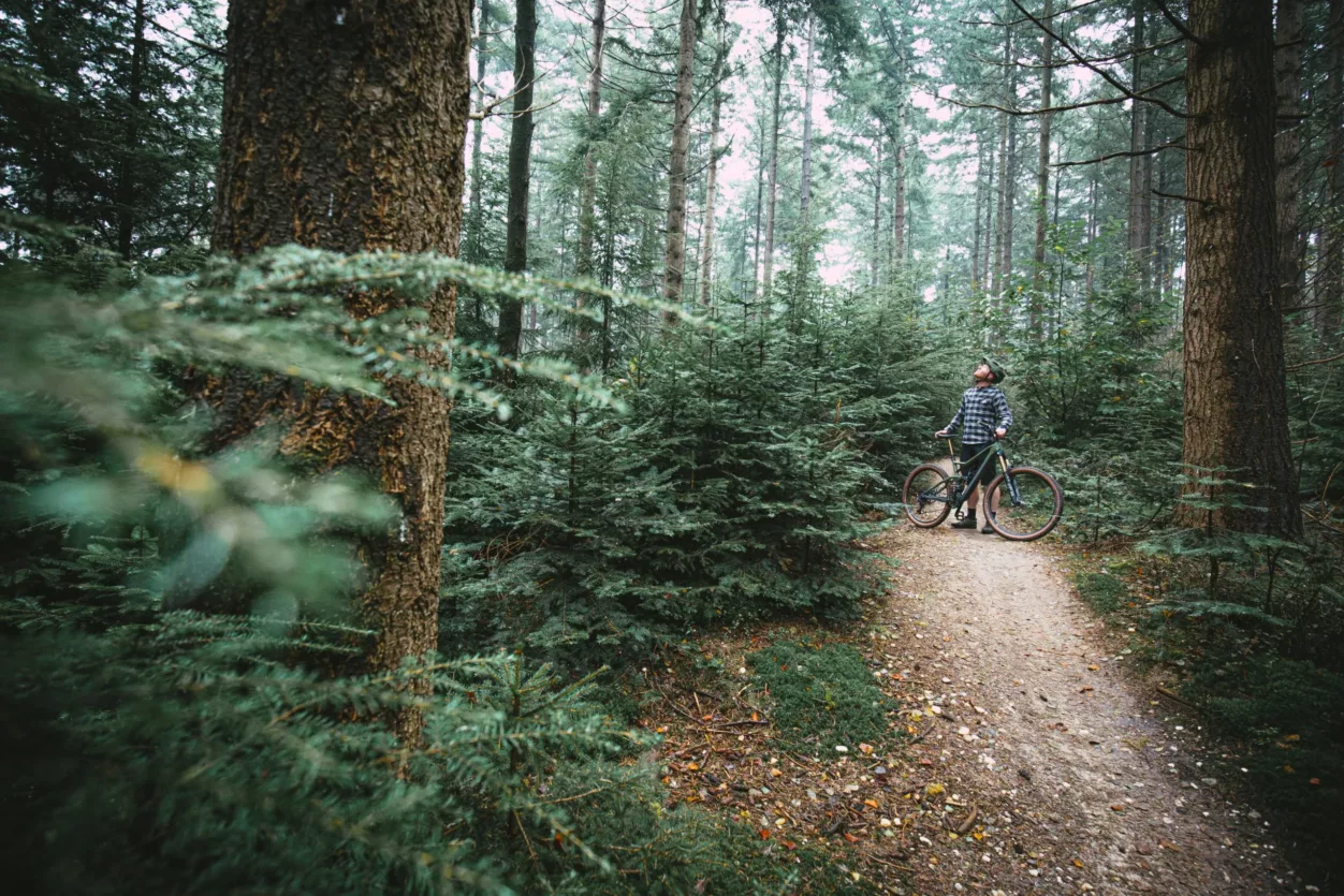 mountainbiken-voor-bomen