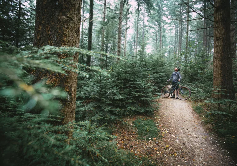 Mountainbiken voor bomen