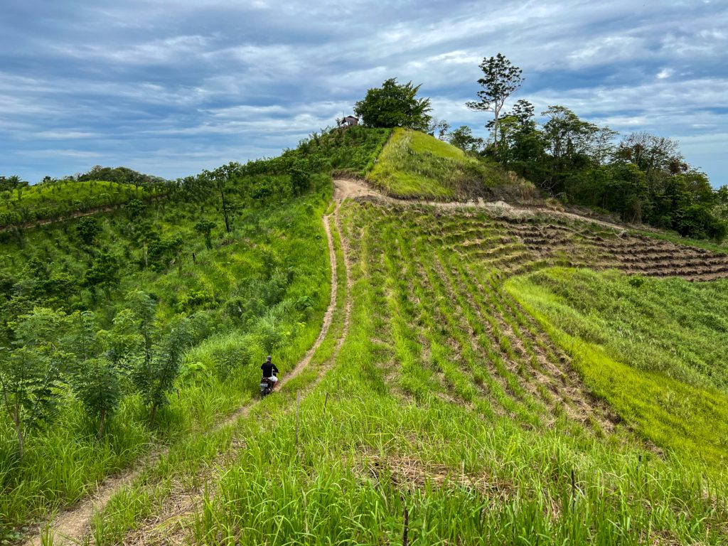 sulawesi