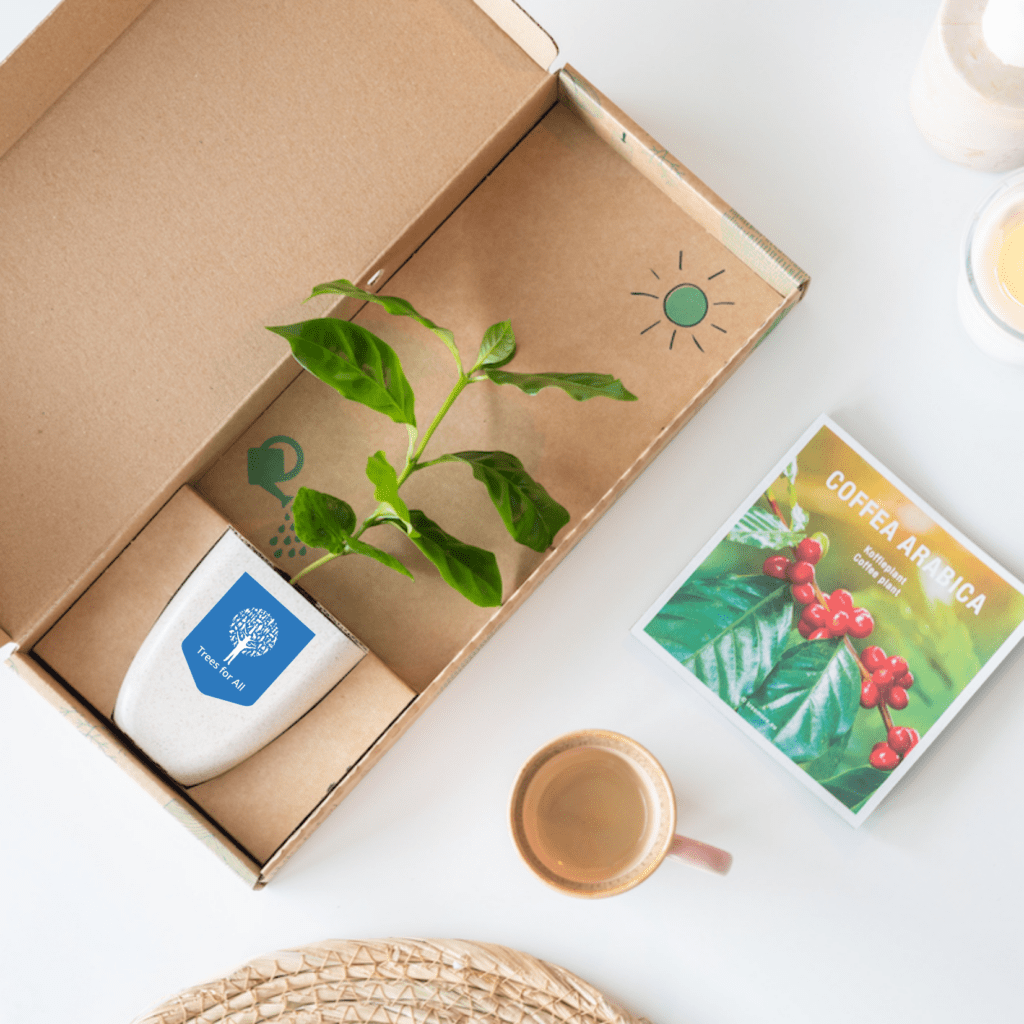 brievenbus-boompje-koffie-klein