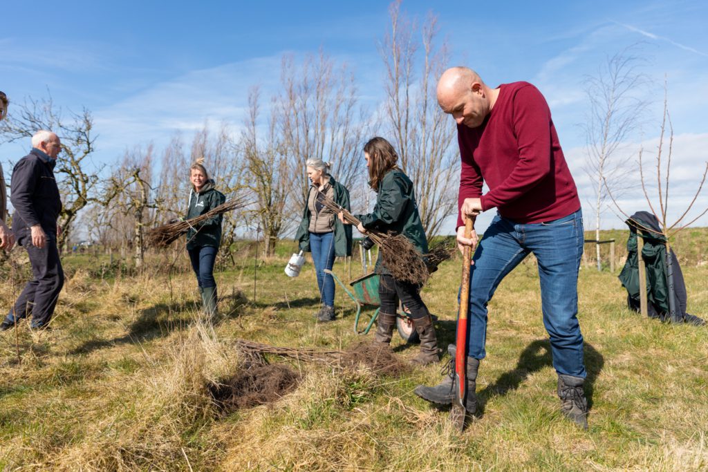 boomplantdag-landschapselementen