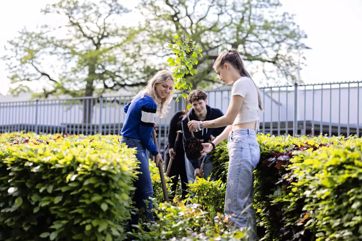 studenten-planten-bomen-trees-for-schools