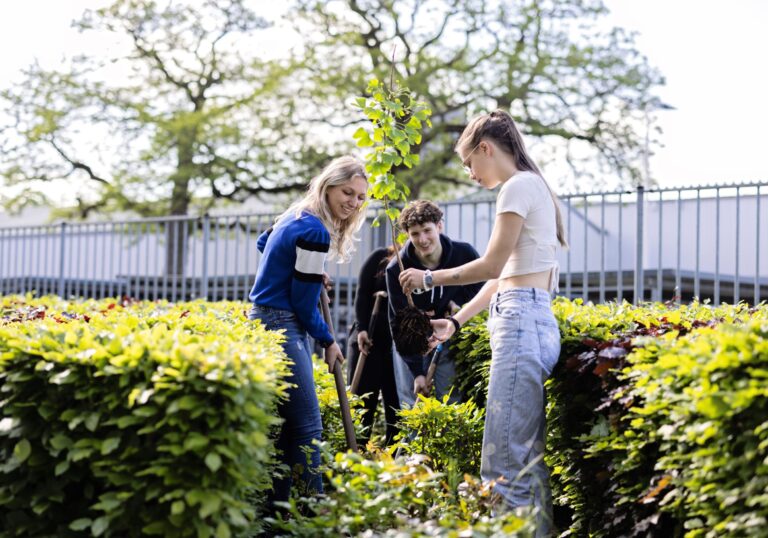 Trees for Schools