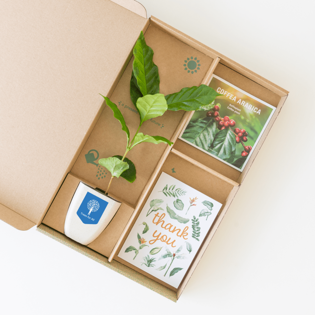 brievenbus-boompje-koffie-groot