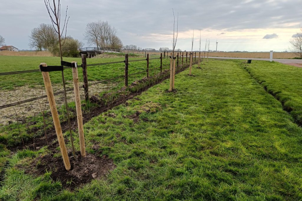 bomen-friesland