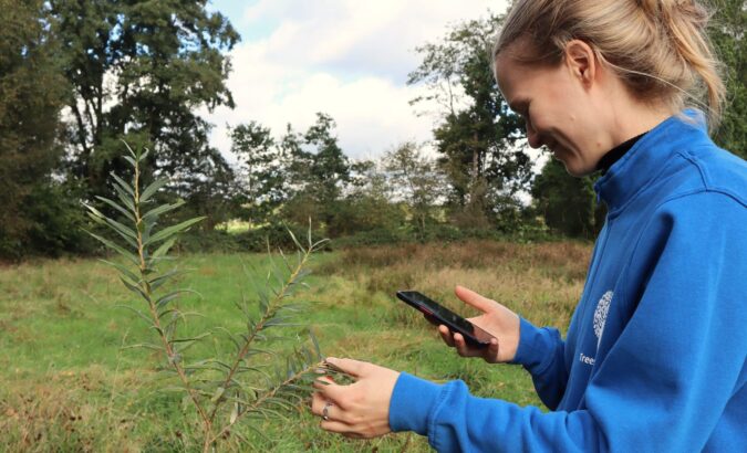 Reutum is ruim 16.000 bomen rijker: resultaten 2022-2023