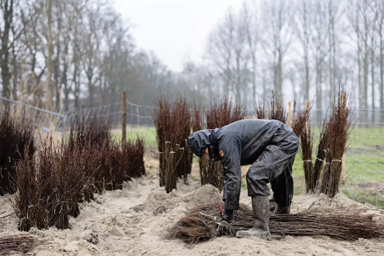 plantdag-februari-2023-2