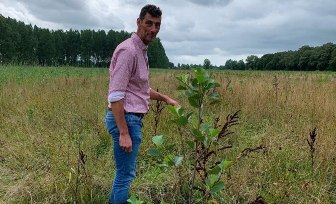 Ten extra football pitches of forest in Leersum