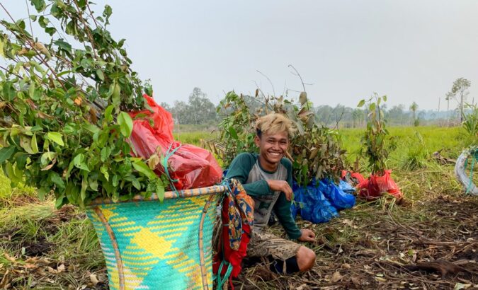 Unique peat swamp forest restoration: we visited our project in Borneo