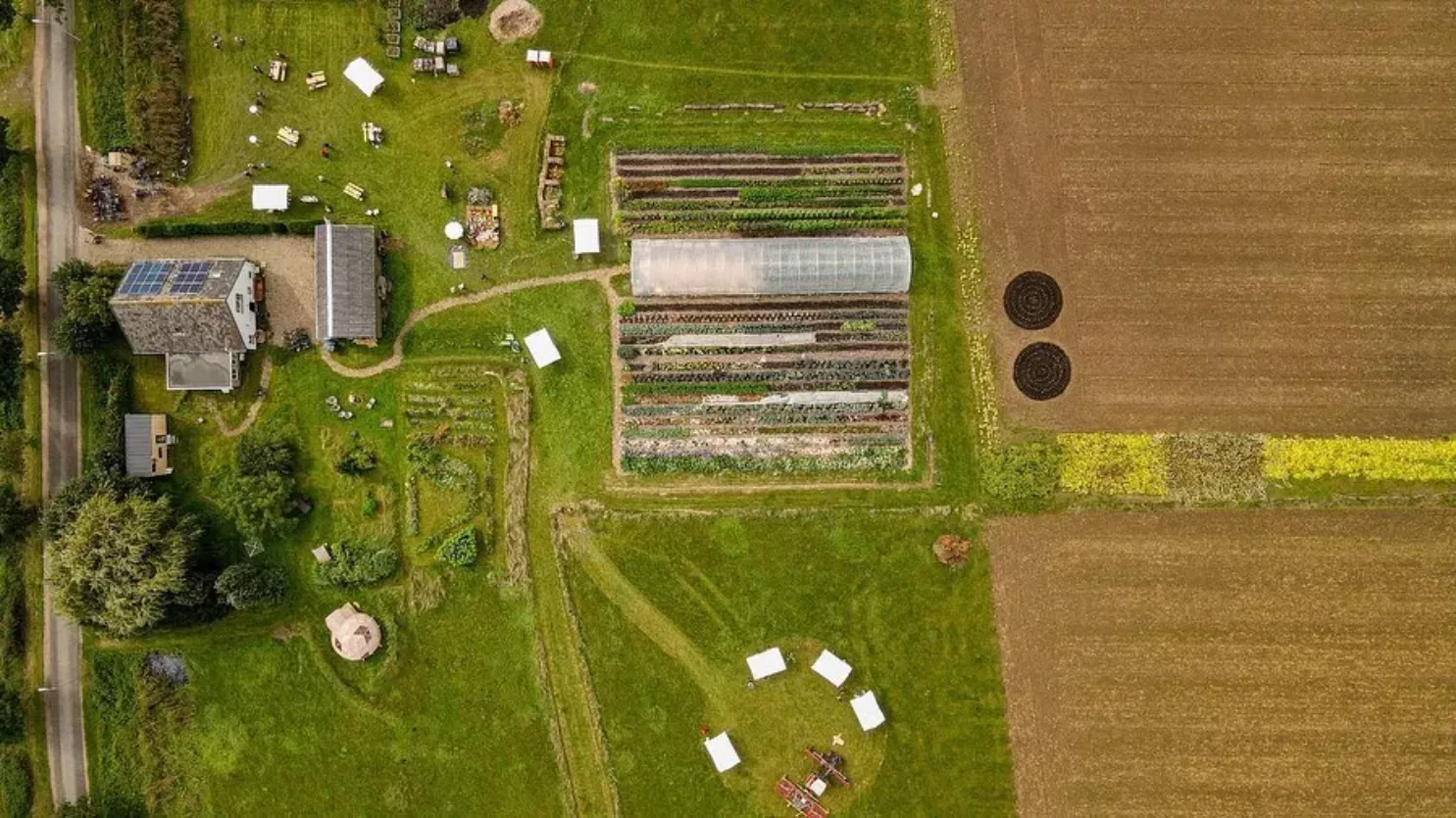 biesterhof-van-boven