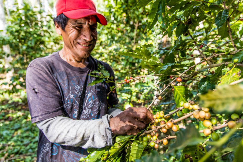 koffieboer-bolivia